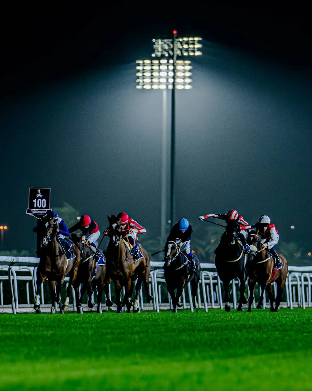 خالد بن حمد وأنجاله يتوجون الفائزين بسباق مهرجان العيد الوطني بنادي راشد
