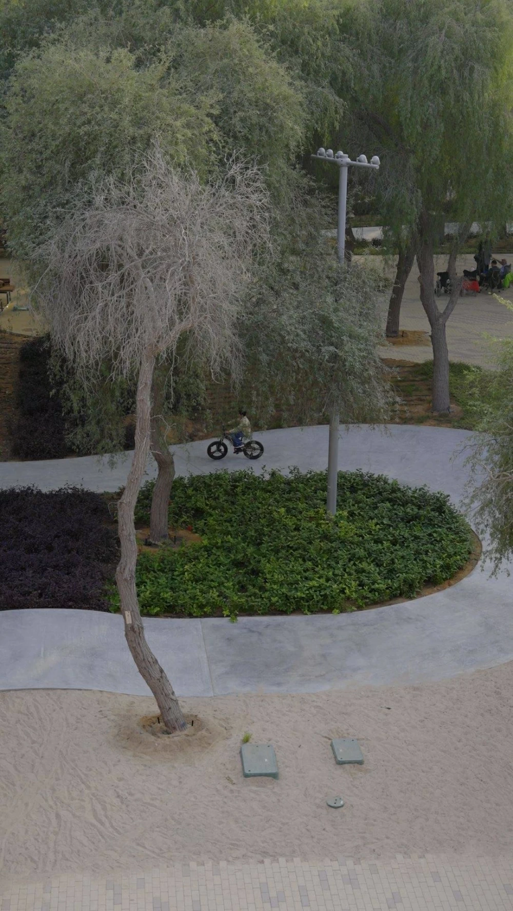 حديقة الملك حمد بن عيسى آل خليفة.. أيقونة أخوية تزين قلب أبوظبي