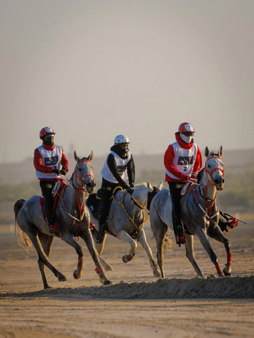 ناصر بن حمد يتابع سباق بطولة العيد الوطني للقدرة