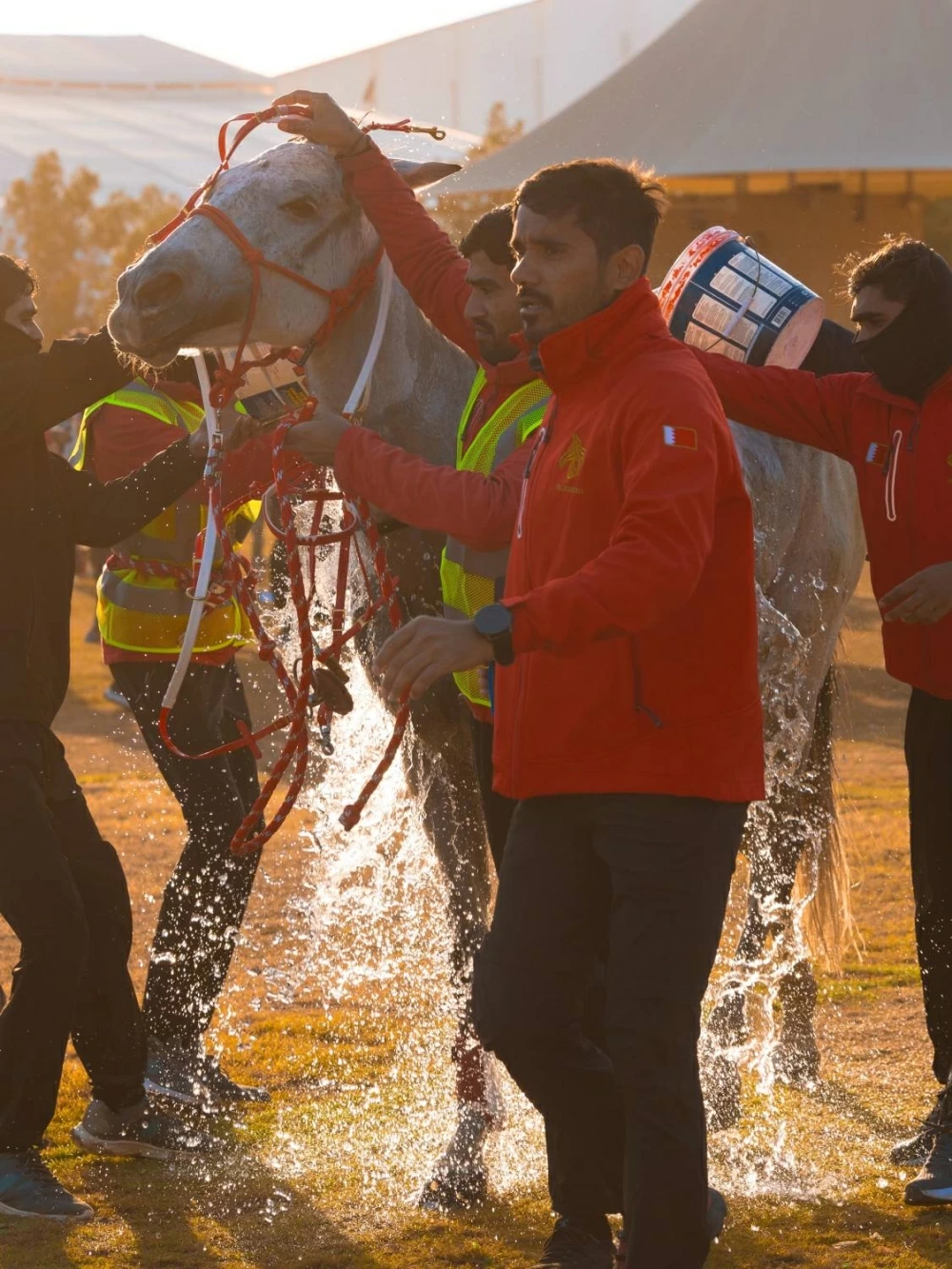 ناصر بن حمد يتابع سباق بطولة العيد الوطني للقدرة