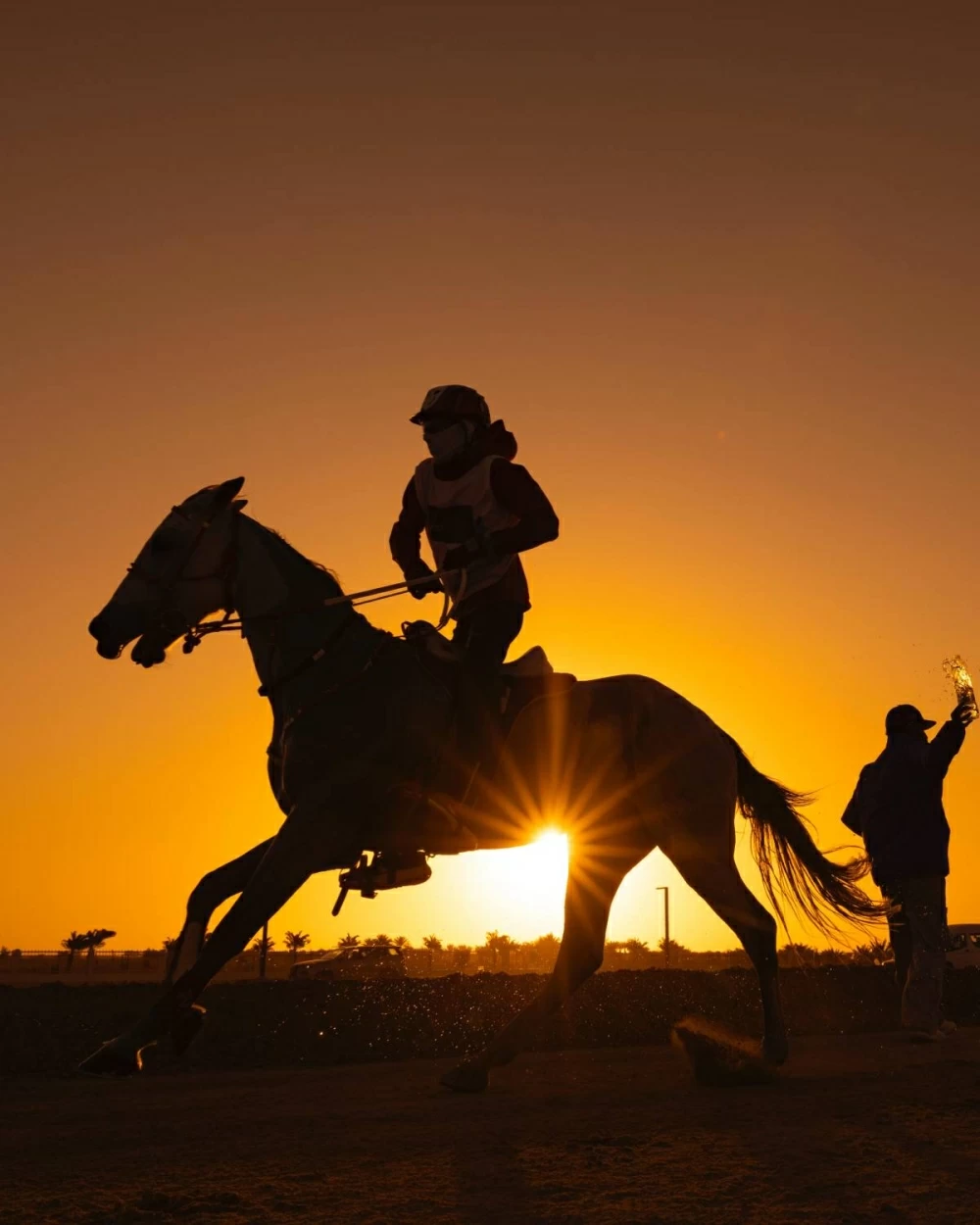 ناصر بن حمد يتابع سباق بطولة العيد الوطني للقدرة