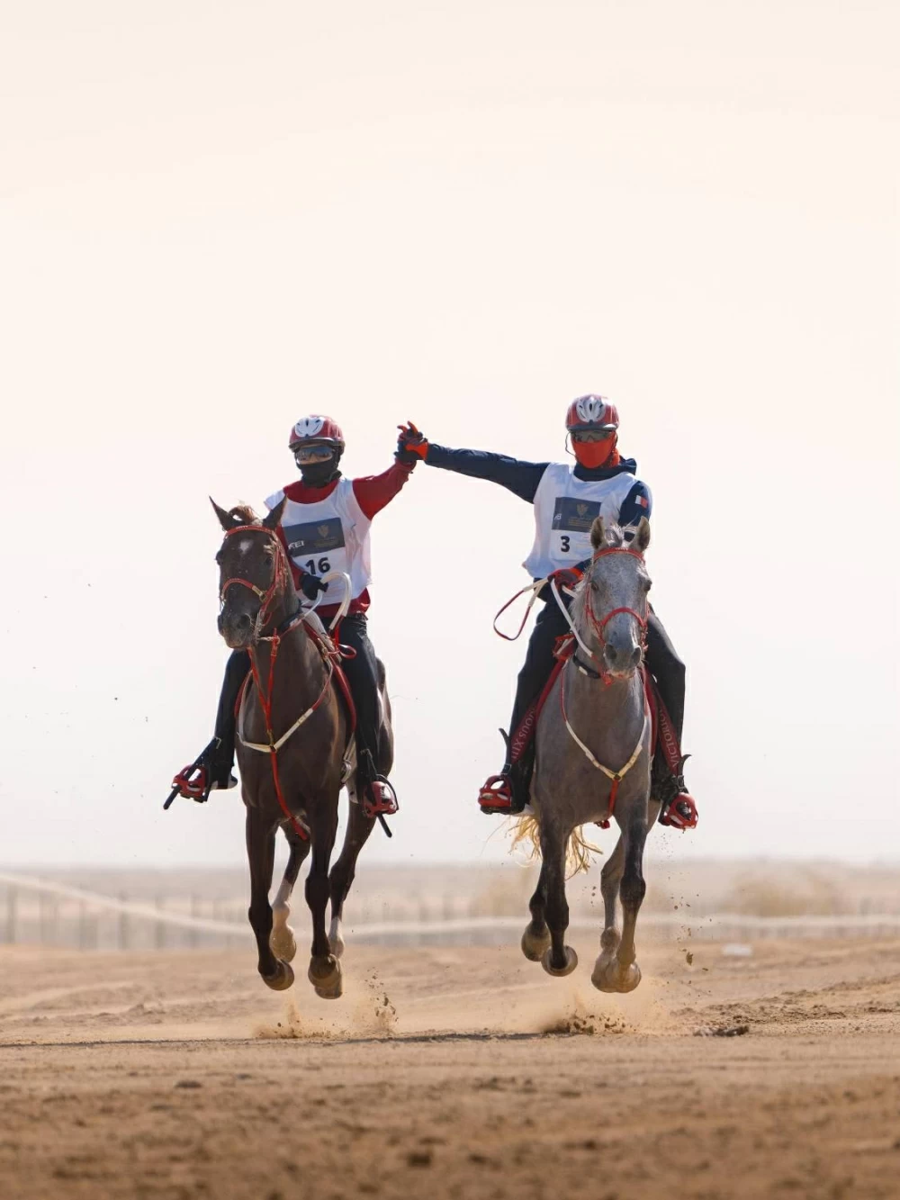 ناصر بن حمد يتابع سباق بطولة العيد الوطني للقدرة