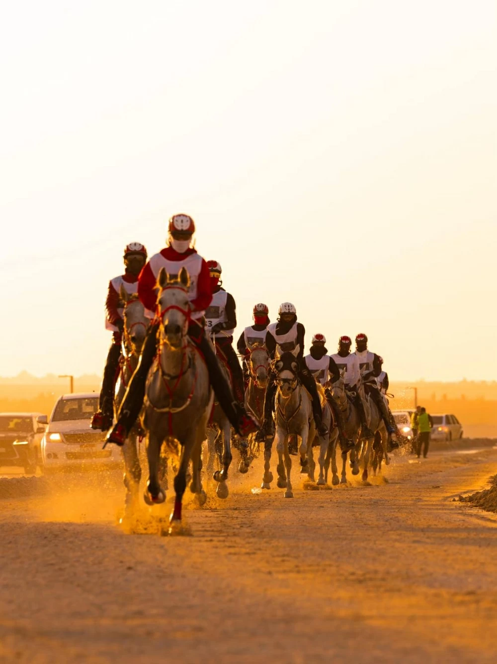 ناصر بن حمد يتابع سباق بطولة العيد الوطني للقدرة