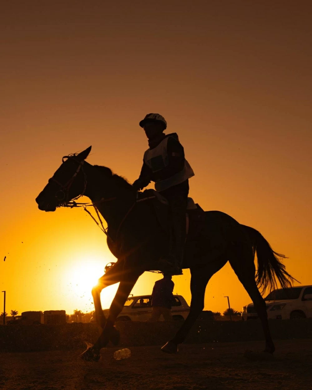 ناصر بن حمد يتابع سباق بطولة العيد الوطني للقدرة