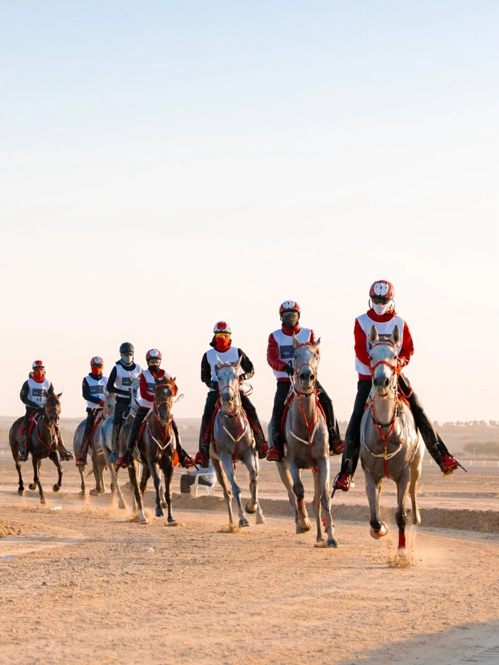 ناصر بن حمد يتابع سباق بطولة العيد الوطني للقدرة