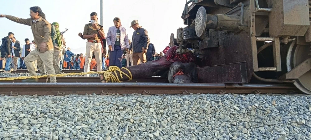 الهند: حادث قطار يودي بحياة أفيال آسيوية دون إصابات بشرية