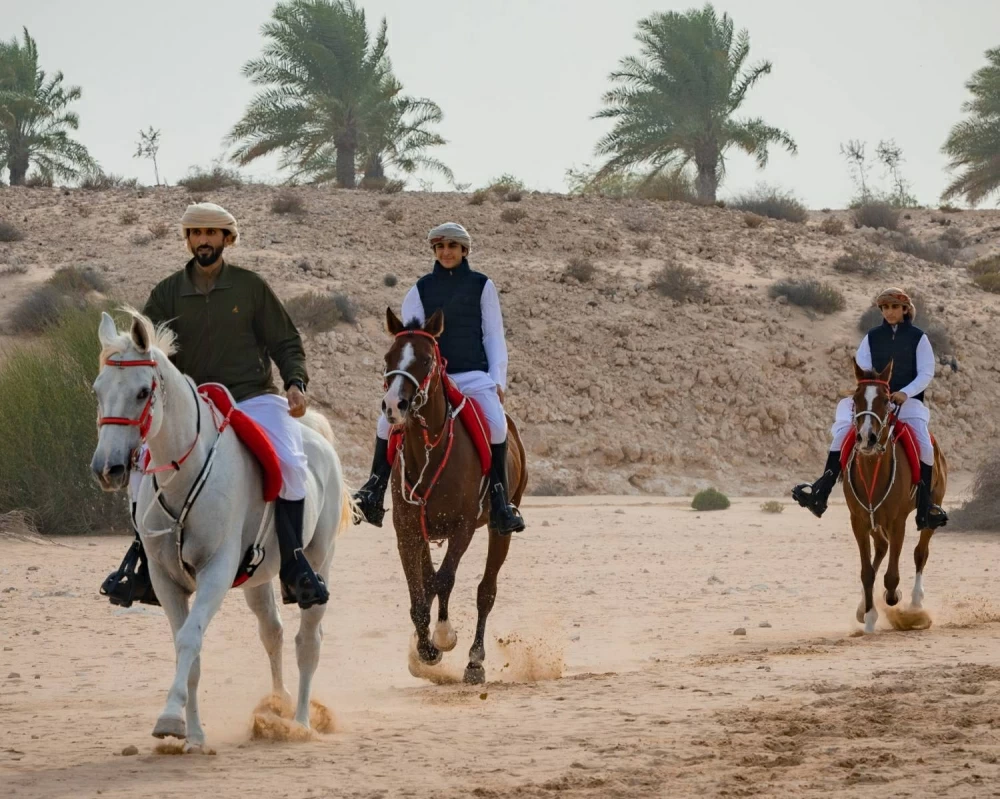 جلالة الملك يستقبل وزير الإعلام والثقافة ووزير الدولة لشؤون الشباب بالكويت