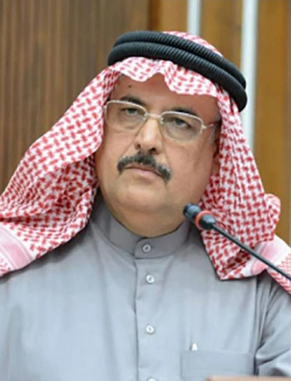 السفير الذوادي: جهود الحكومة والسلطة التشريعية تعكس أهمية المشاركة الإيجابية في سنّ التشريعات 