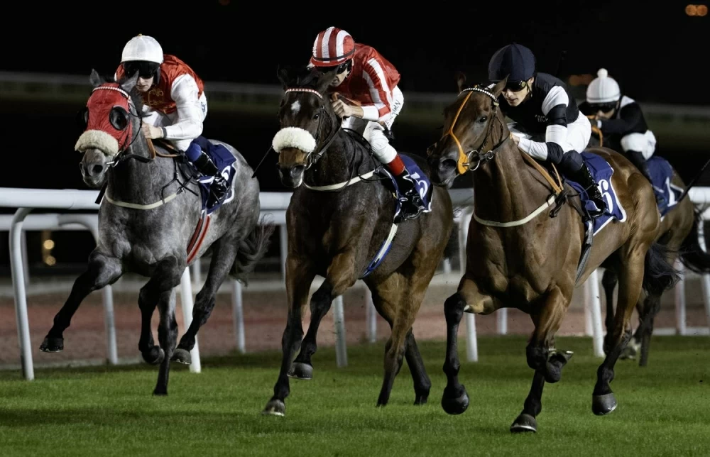 سباق مميّز ومشاركات قوية للفوز بكؤوس شركة «ألبا» 