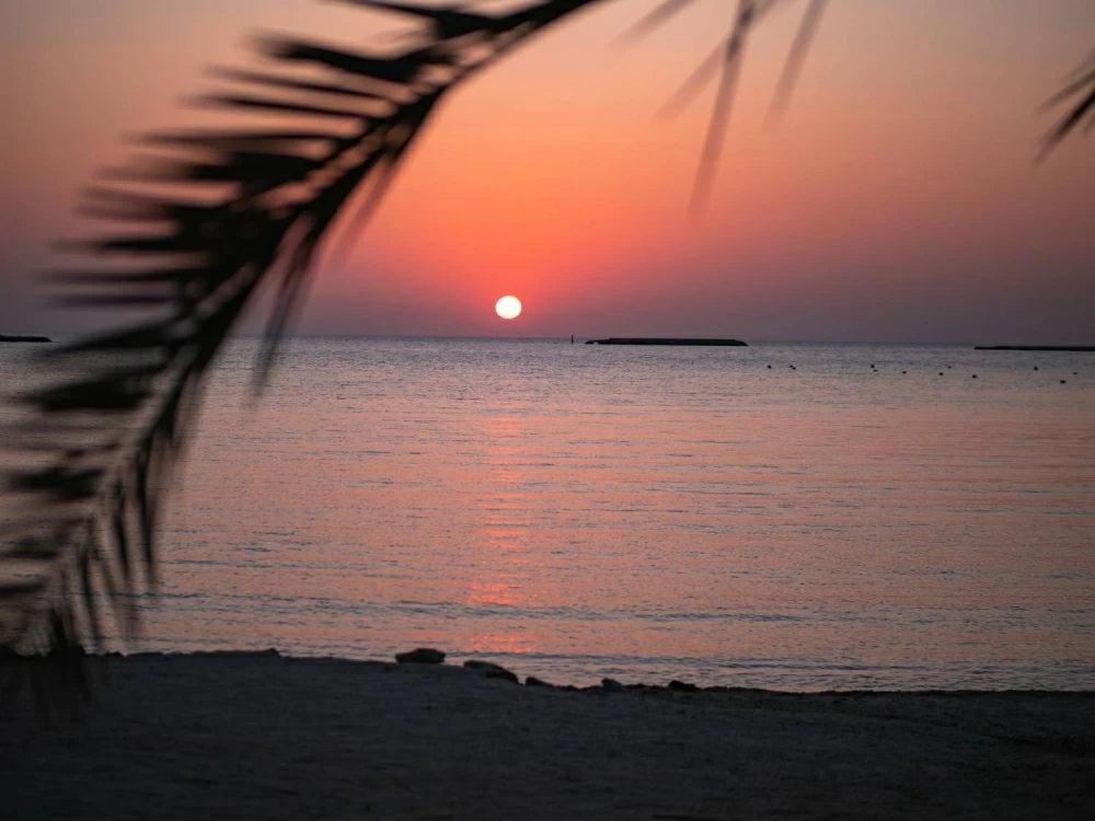 «المناقصات»: محطة جديدة لتحلية مياه البحر بالتناضح العكسي في جزيرة حوار 