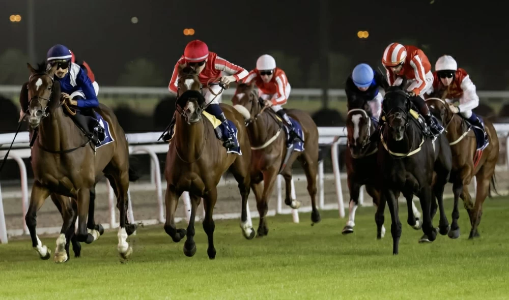 كؤوس شركة «ألبا» تشعل منافسات الجياد في ختام سباقات 2025 