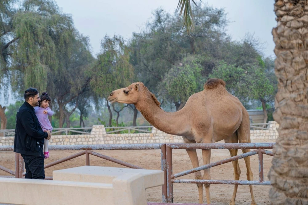 محمية محمد بن زايد الطبيعية.. تجسيد لعمق العلاقات التاريخية الوثيقة بين البحرين والإمارات