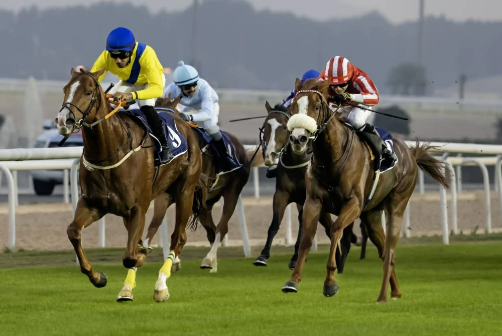 مشاركة كبيرة في الجولة الثانية لبطولة البحرين الدولية برعاية بنك السلام وكؤوس المحافظة الجنوبية في أولى سباقات الخيل لعام 2026 