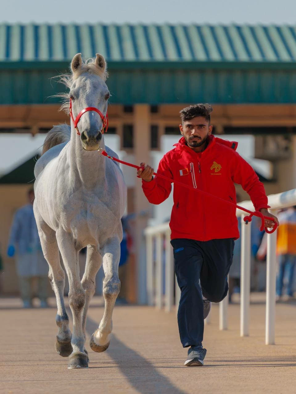 الفريق الملكي للقدرة يشارك في سباق بطولة المجموعة الإقليمية السابعة بأبوظبي