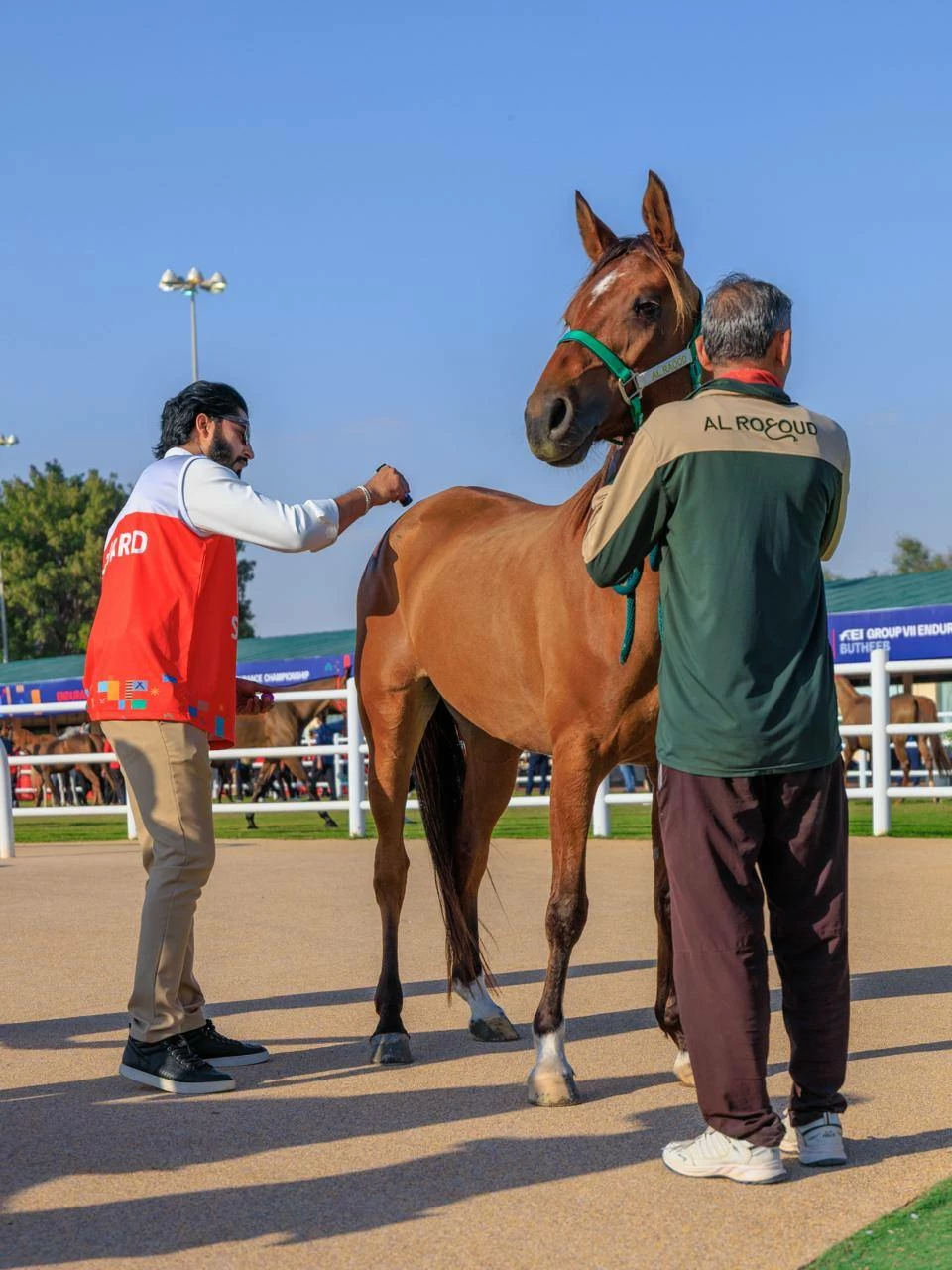 الفريق الملكي للقدرة يشارك في سباق بطولة المجموعة الإقليمية السابعة بأبوظبي