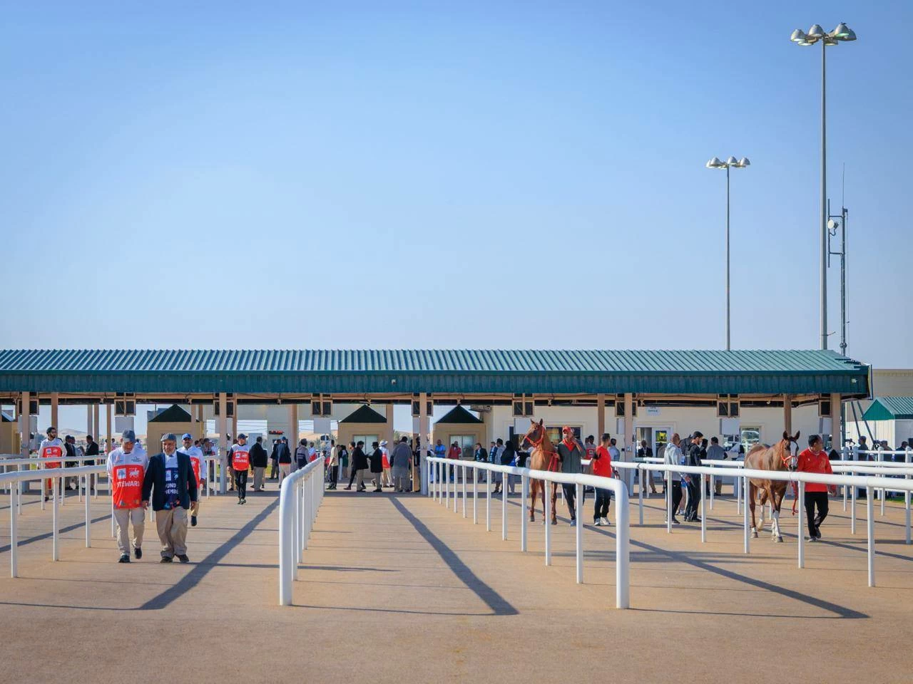 الفريق الملكي للقدرة يشارك في سباق بطولة المجموعة الإقليمية السابعة بأبوظبي