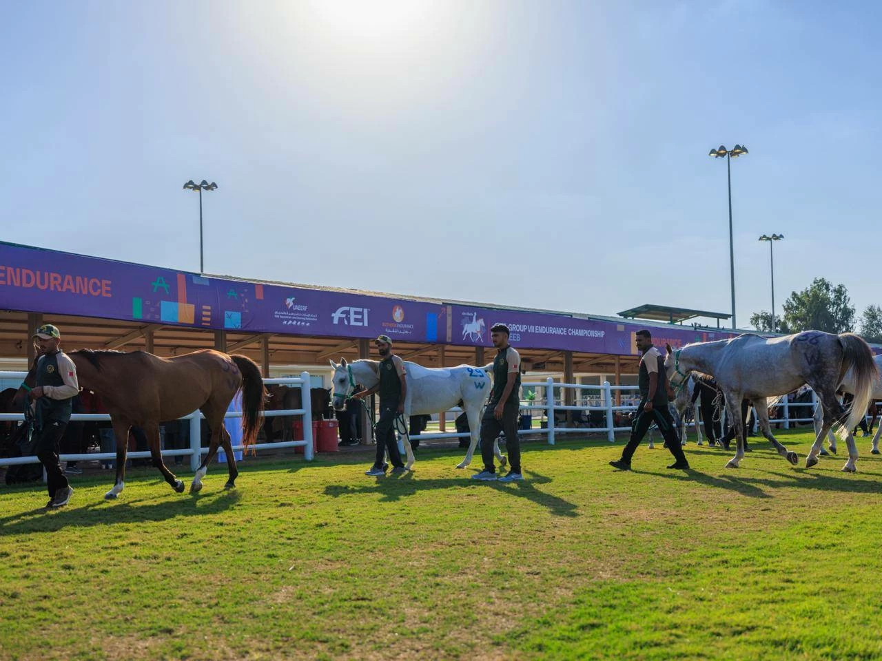 الفريق الملكي للقدرة يشارك في سباق بطولة المجموعة الإقليمية السابعة بأبوظبي