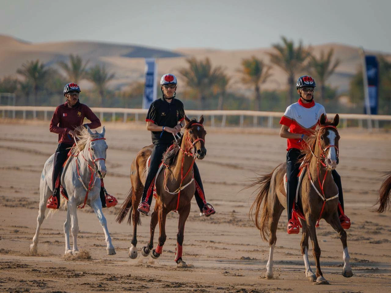 الفريق الملكي للقدرة يشارك في سباق بطولة المجموعة الإقليمية السابعة بأبوظبي