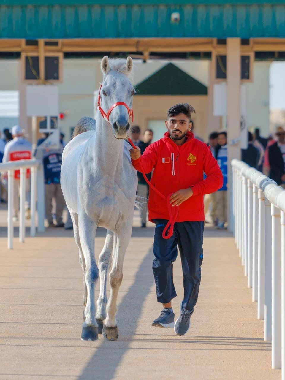 الفريق الملكي للقدرة يشارك في سباق بطولة المجموعة الإقليمية السابعة بأبوظبي