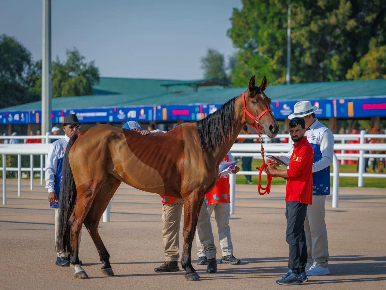 الفريق الملكي للقدرة يشارك في سباق بطولة المجموعة الإقليمية السابعة بأبوظبي