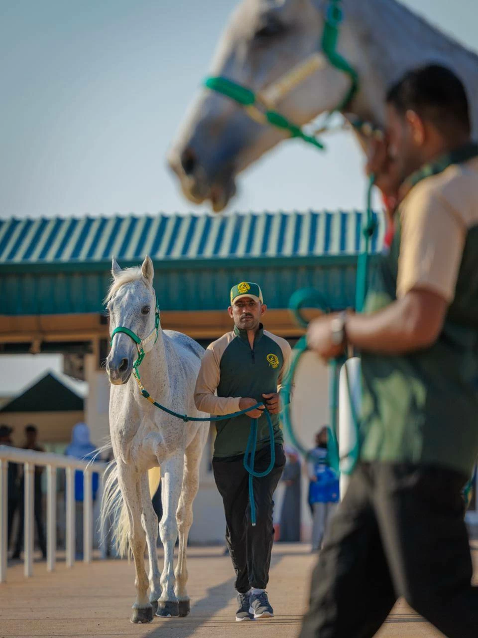 الفريق الملكي للقدرة يشارك في سباق بطولة المجموعة الإقليمية السابعة بأبوظبي