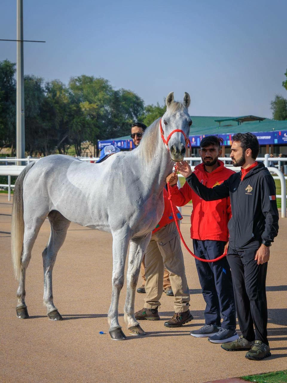 الفريق الملكي للقدرة يشارك في سباق بطولة المجموعة الإقليمية السابعة بأبوظبي