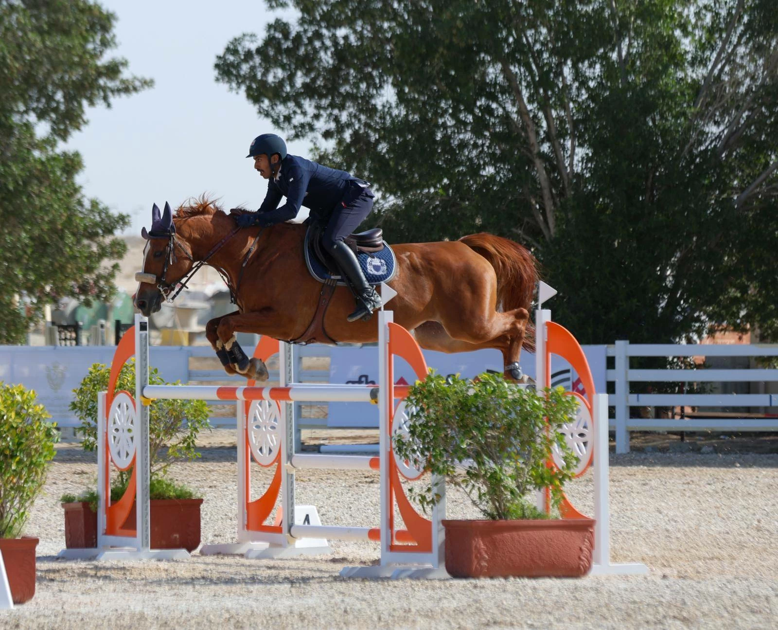 فريق "الداخلية" لقفز الحواجز يحقق المركز الأول في المسابقة الكبرى لبطولة الاتحاد الملكي