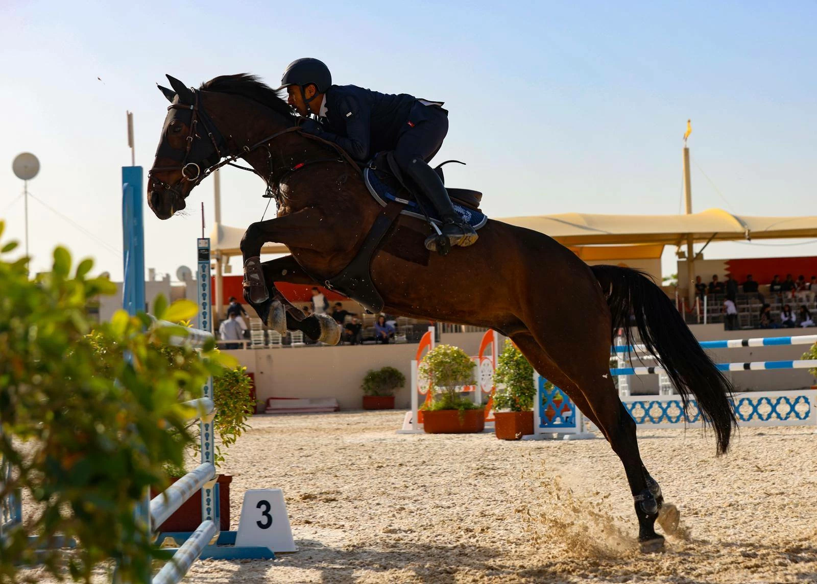 فريق "الداخلية" لقفز الحواجز يحقق المركز الأول في المسابقة الكبرى لبطولة الاتحاد الملكي