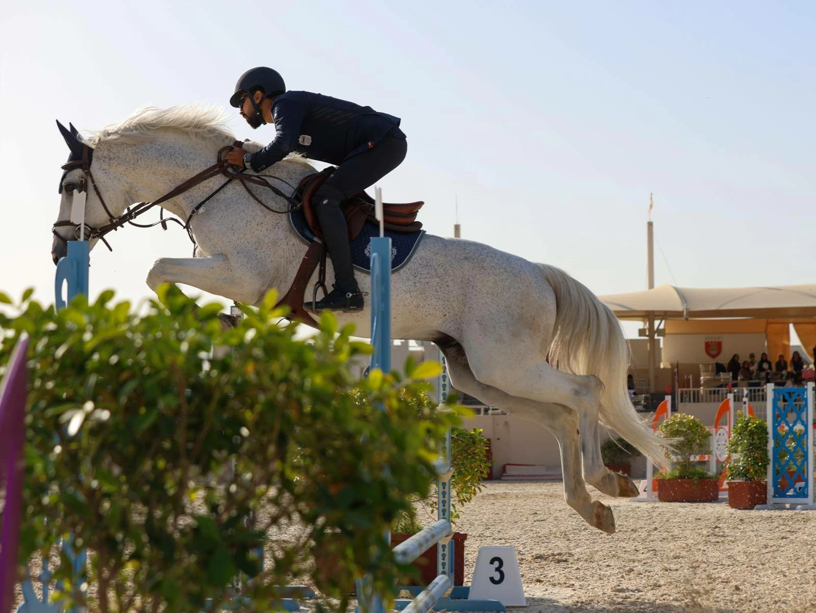 فريق "الداخلية" لقفز الحواجز يحقق المركز الأول في المسابقة الكبرى لبطولة الاتحاد الملكي