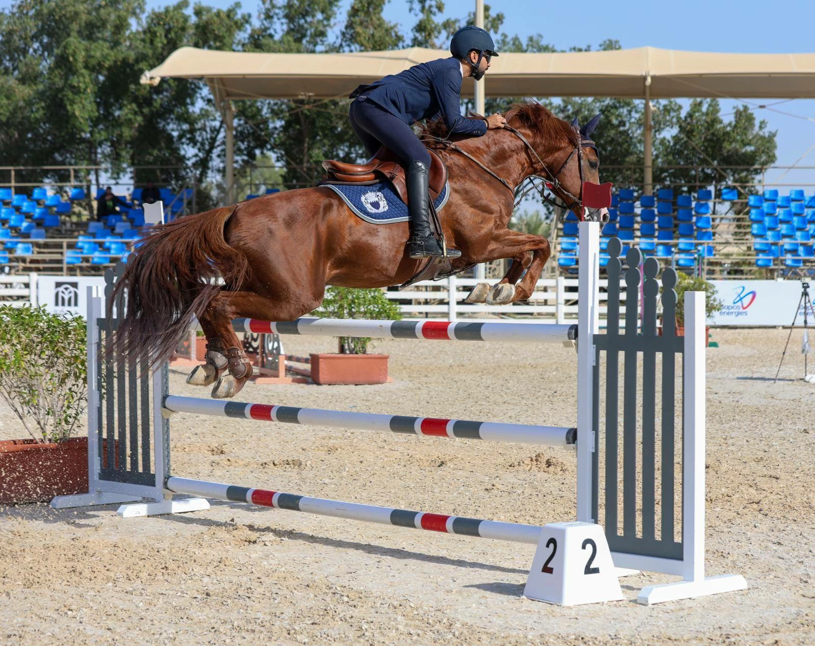 فريق "الداخلية" لقفز الحواجز يحقق المركز الأول في المسابقة الكبرى لبطولة الاتحاد الملكي