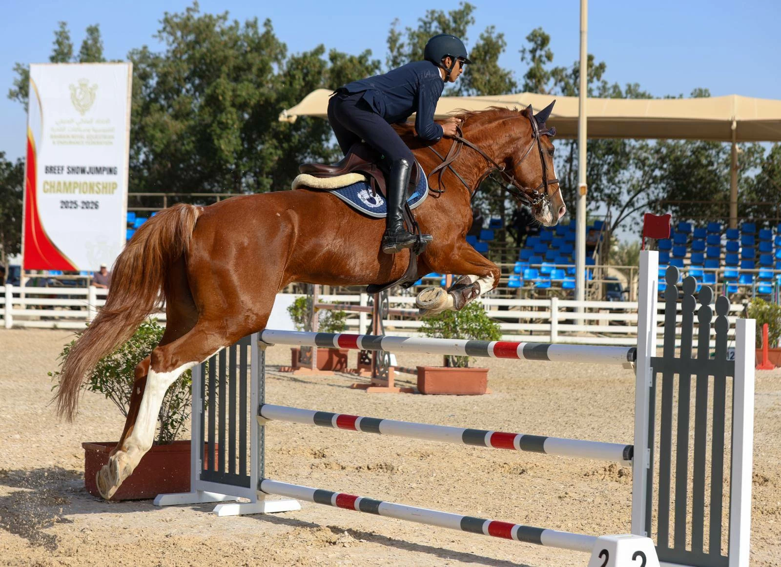 فريق "الداخلية" لقفز الحواجز يحقق المركز الأول في المسابقة الكبرى لبطولة الاتحاد الملكي