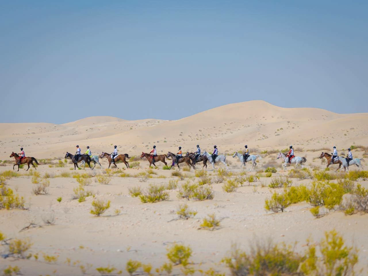 الفريق الملكي للقدرة ينهي مشاركته في سباق بطولة المجموعة الإقليمية السابعة للقدرة