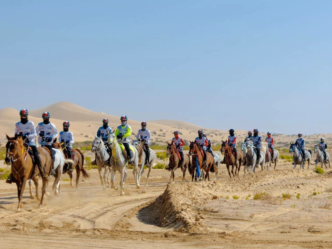 الفريق الملكي للقدرة ينهي مشاركته في سباق بطولة المجموعة الإقليمية السابعة للقدرة