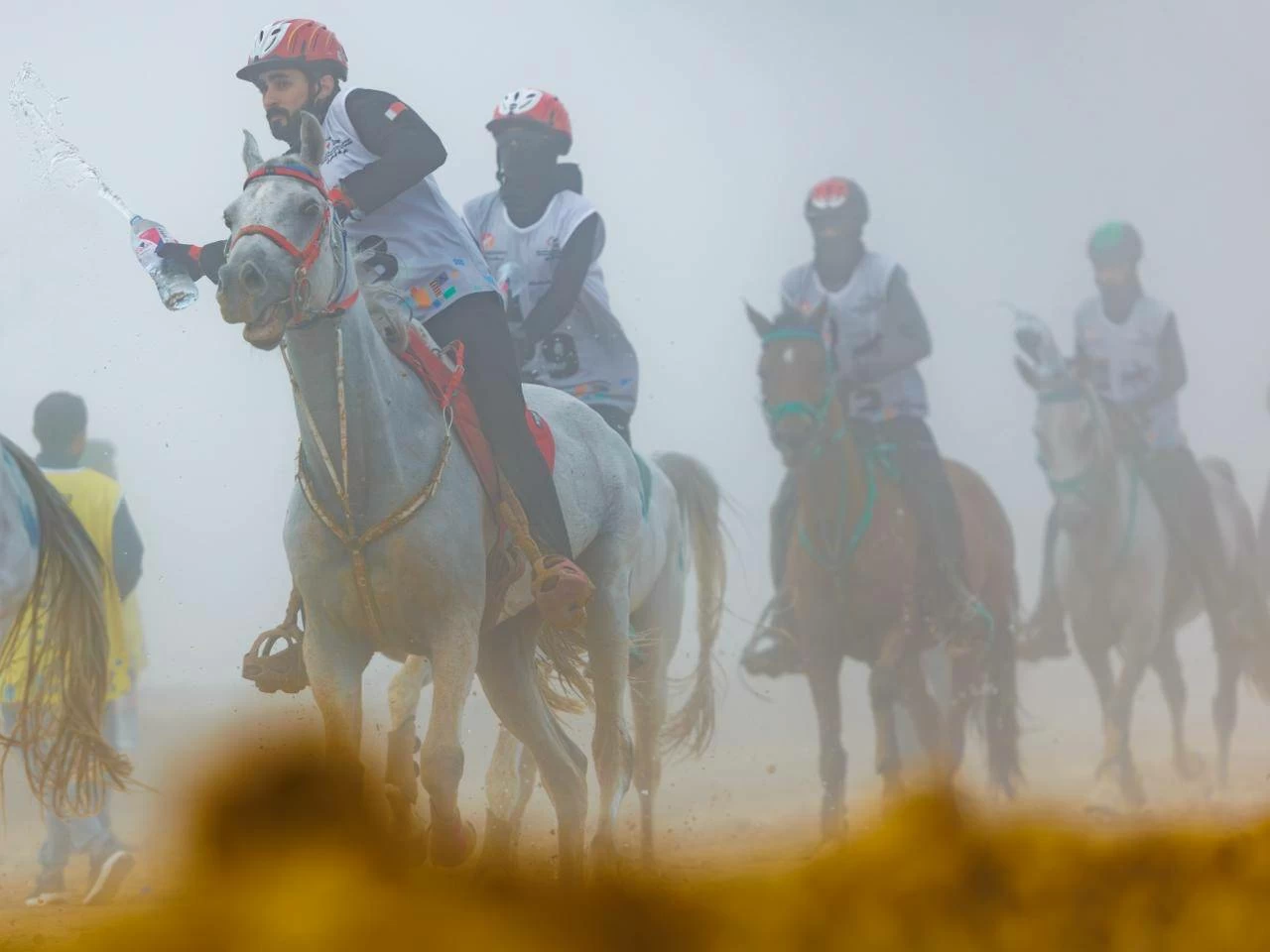 الفريق الملكي للقدرة ينهي مشاركته في سباق بطولة المجموعة الإقليمية السابعة للقدرة