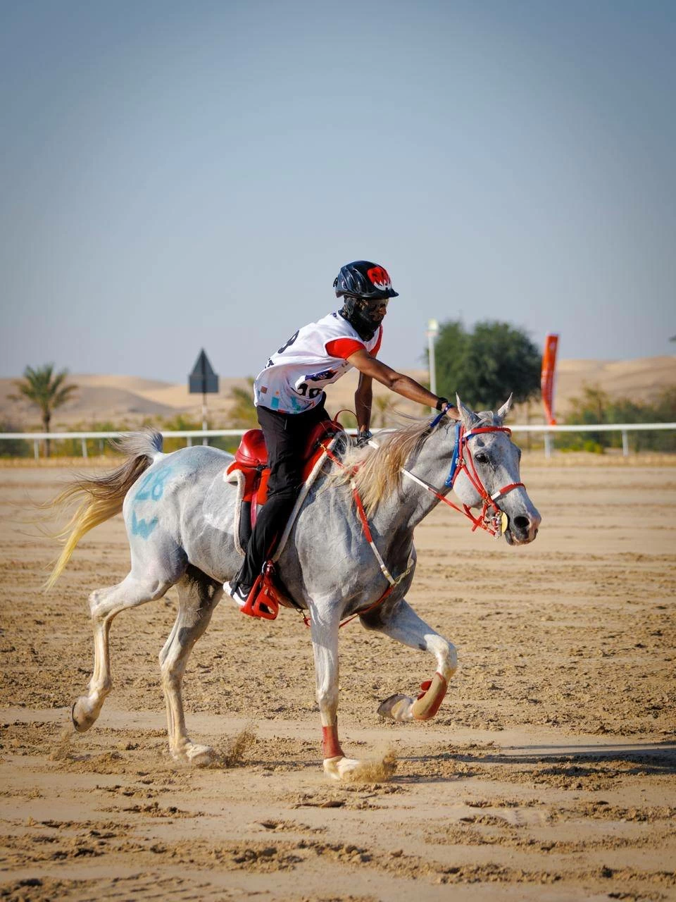 الفريق الملكي للقدرة ينهي مشاركته في سباق بطولة المجموعة الإقليمية السابعة للقدرة