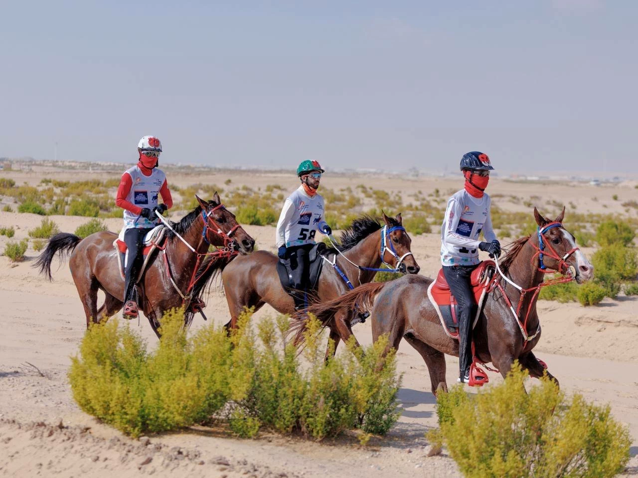 الفريق الملكي للقدرة ينهي مشاركته في سباق بطولة المجموعة الإقليمية السابعة للقدرة