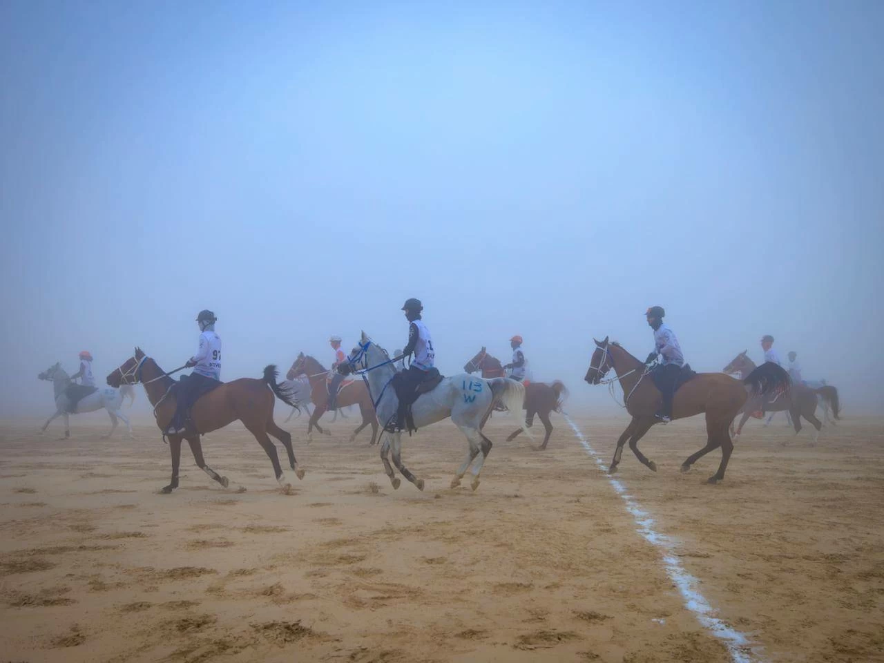 الفريق الملكي للقدرة ينهي مشاركته في سباق بطولة المجموعة الإقليمية السابعة للقدرة