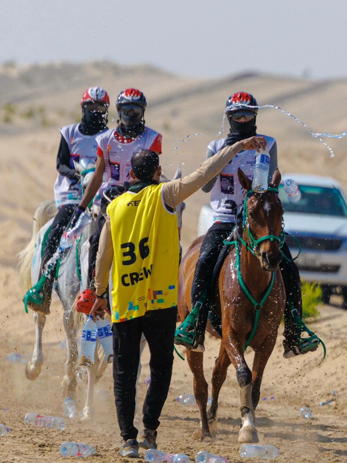 الفريق الملكي للقدرة ينهي مشاركته في سباق بطولة المجموعة الإقليمية السابعة للقدرة