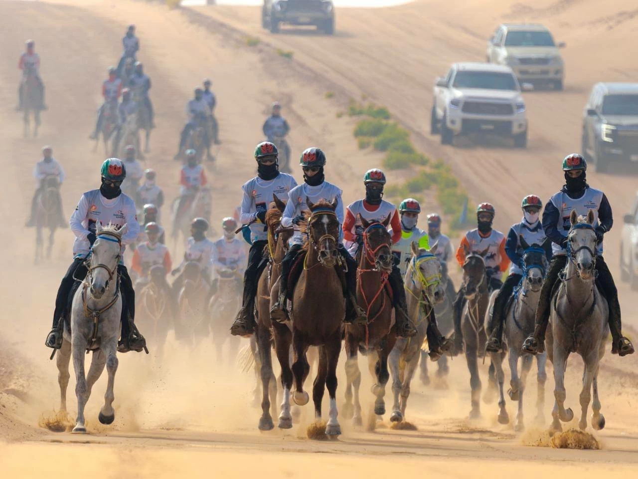 الفريق الملكي للقدرة ينهي مشاركته في سباق بطولة المجموعة الإقليمية السابعة للقدرة