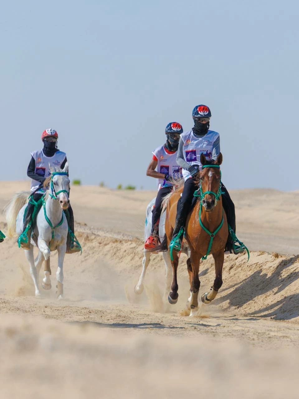 الفريق الملكي للقدرة ينهي مشاركته في سباق بطولة المجموعة الإقليمية السابعة للقدرة