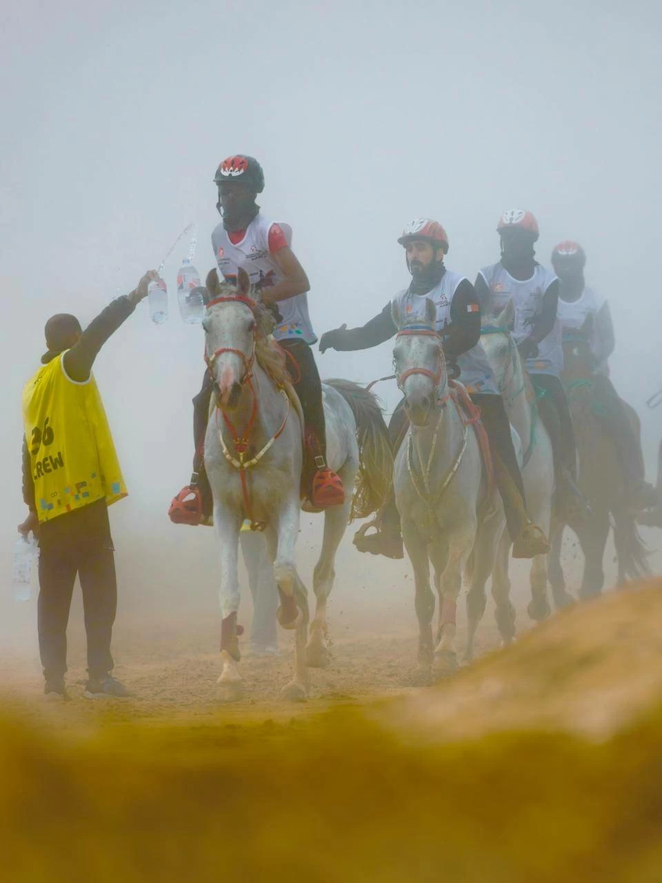 الفريق الملكي للقدرة ينهي مشاركته في سباق بطولة المجموعة الإقليمية السابعة للقدرة
