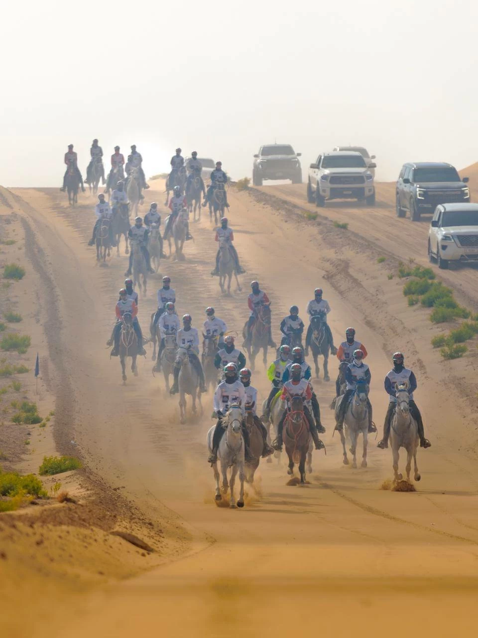 الفريق الملكي للقدرة ينهي مشاركته في سباق بطولة المجموعة الإقليمية السابعة للقدرة