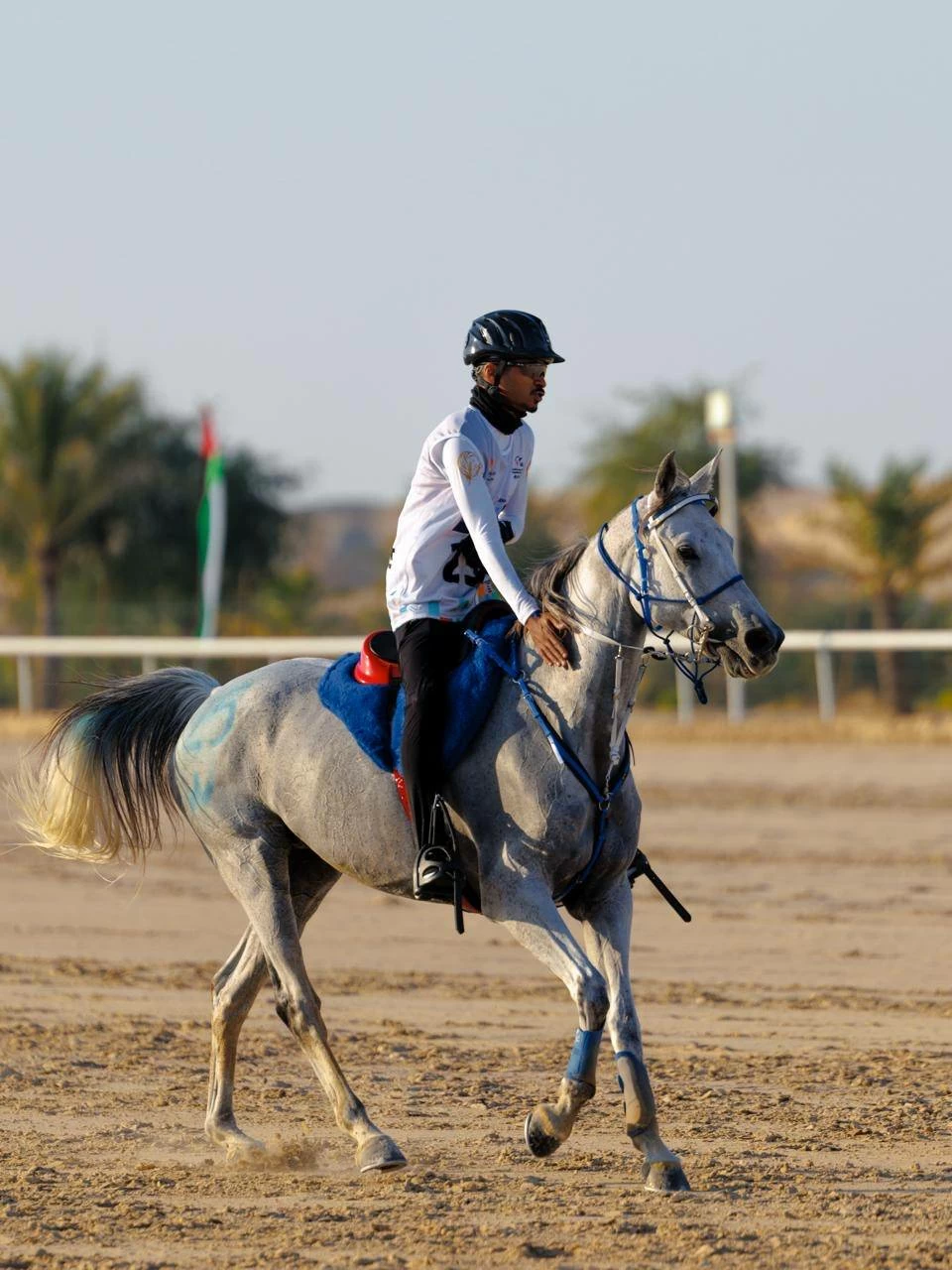 الفريق الملكي للقدرة ينهي مشاركته في سباق بطولة المجموعة الإقليمية السابعة للقدرة