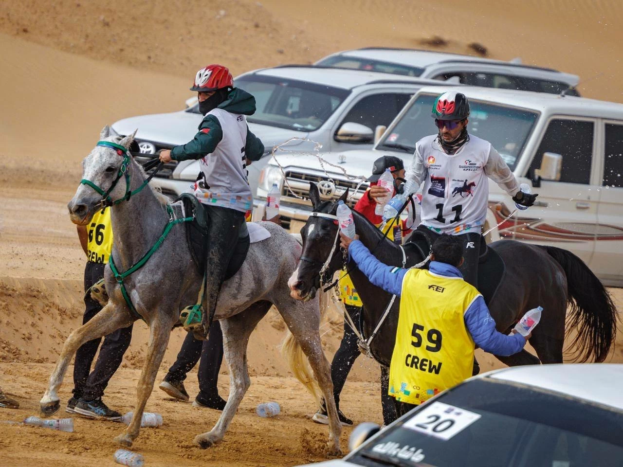 الفريق الملكي للقدرة ينهي مشاركته في سباق بطولة المجموعة الإقليمية السابعة للقدرة