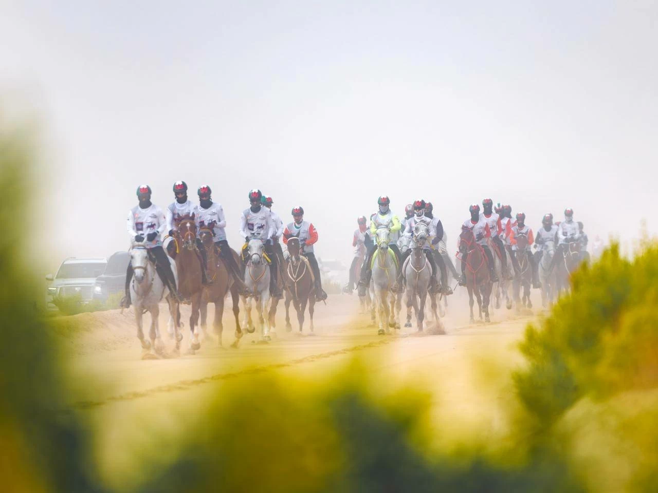 الفريق الملكي للقدرة ينهي مشاركته في سباق بطولة المجموعة الإقليمية السابعة للقدرة
