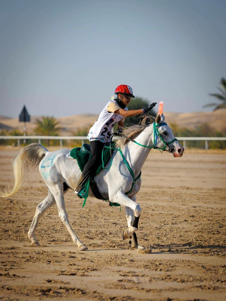 الفريق الملكي للقدرة ينهي مشاركته في سباق بطولة المجموعة الإقليمية السابعة للقدرة