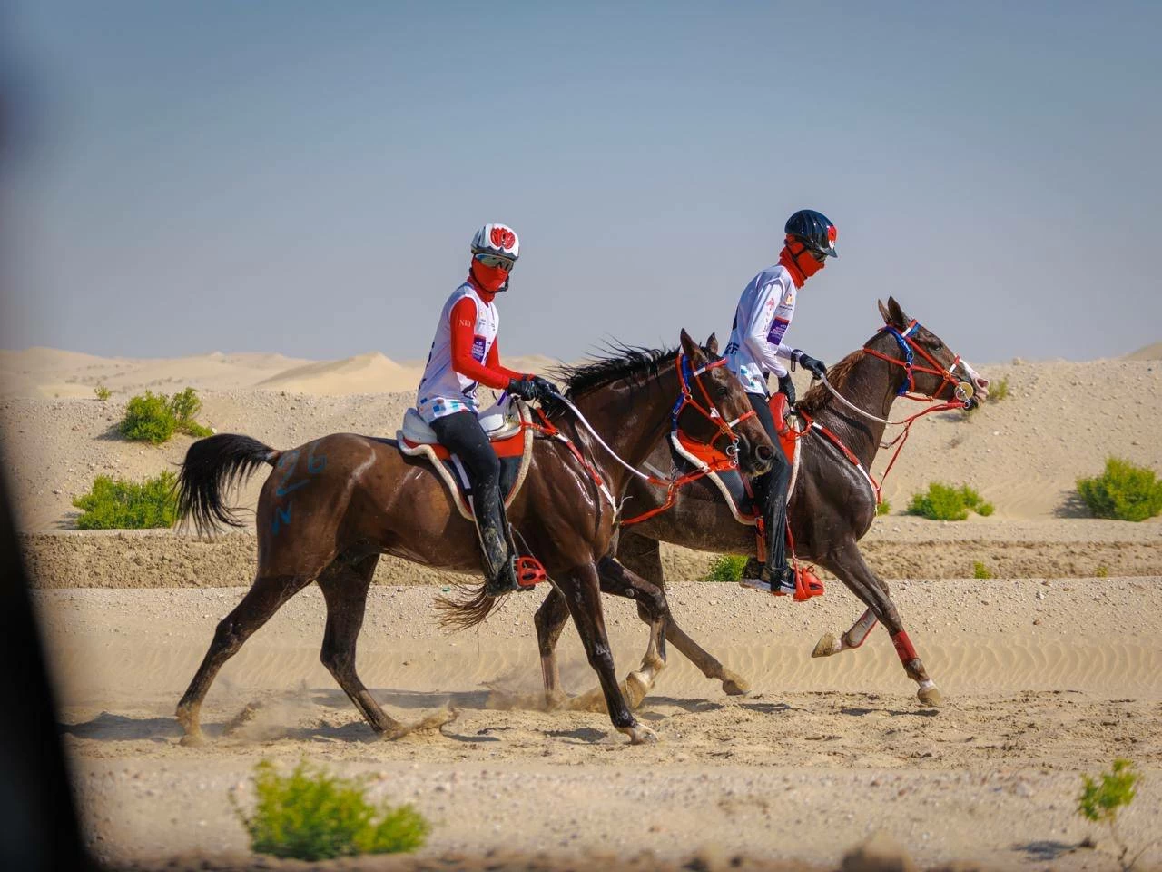 الفريق الملكي للقدرة ينهي مشاركته في سباق بطولة المجموعة الإقليمية السابعة للقدرة