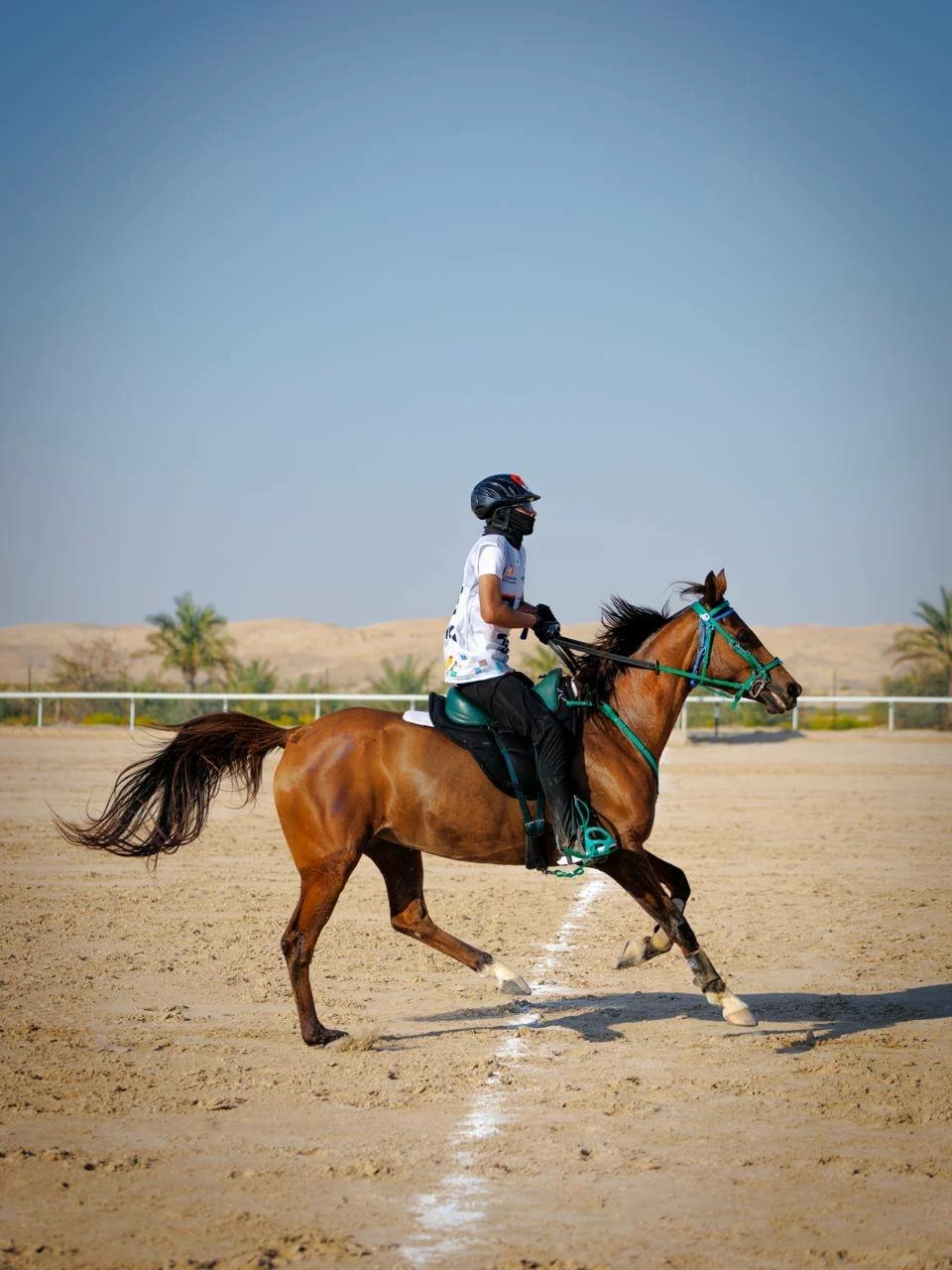 الفريق الملكي للقدرة ينهي مشاركته في سباق بطولة المجموعة الإقليمية السابعة للقدرة