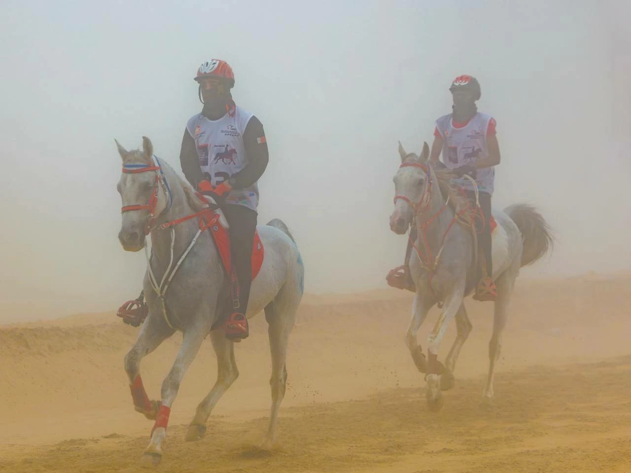 الفريق الملكي للقدرة ينهي مشاركته في سباق بطولة المجموعة الإقليمية السابعة للقدرة
