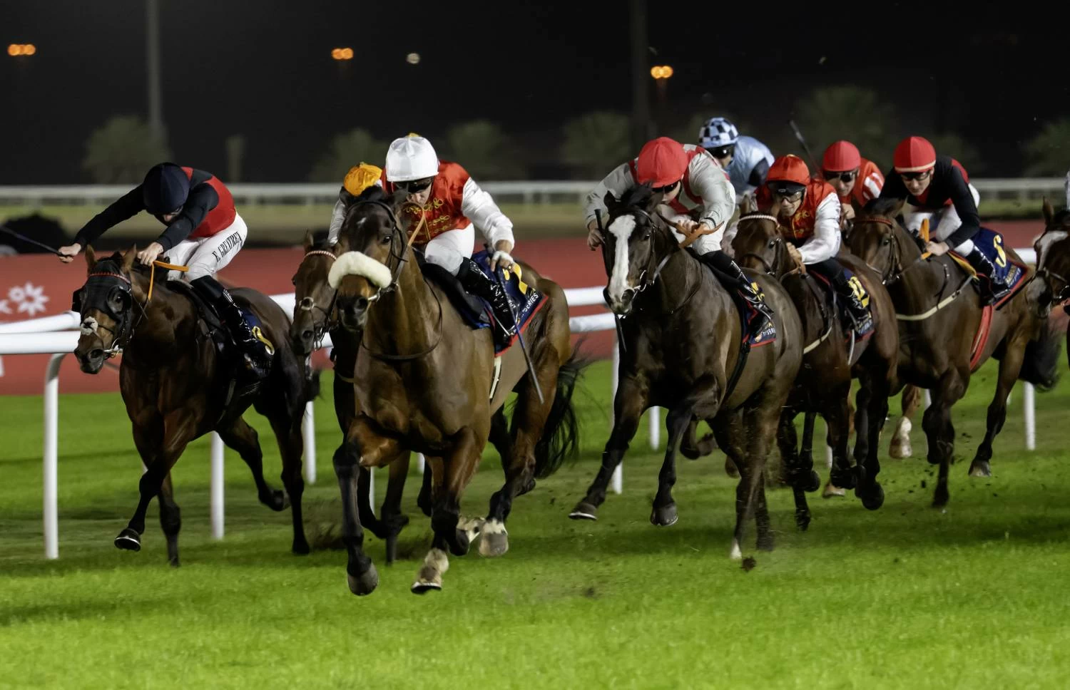 في السباق الثالث عشر للخيل: جوائز نقدية لجمهور السباق ومشاركة كبيرة على كؤوس شركة stc البحرين